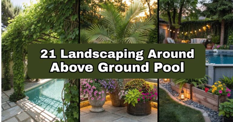 21 Landscaping Around Above Ground Pool Ideas That Actually Work