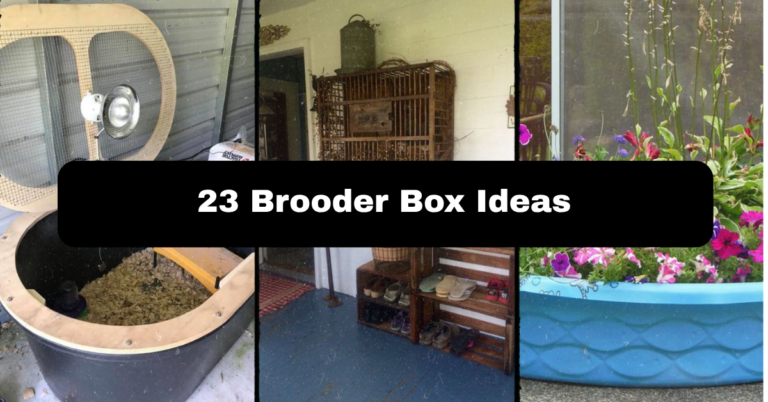23 Brooder Box Ideas That Actually Work for Raising Healthy Chicks