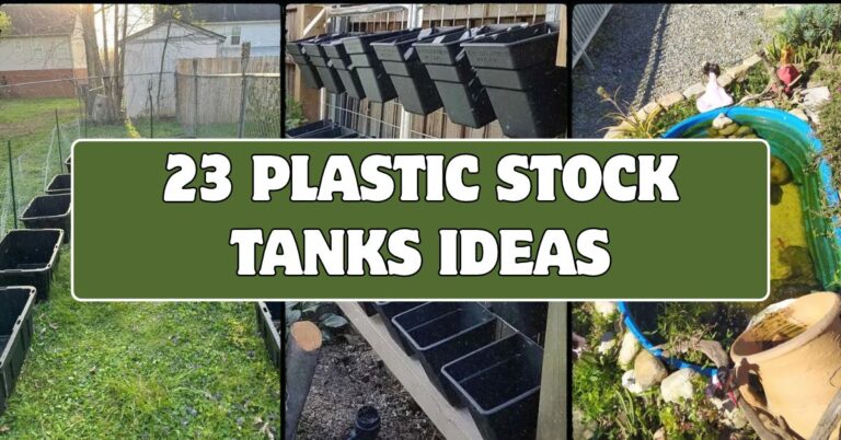 23 Plastic Stock Tank Ideas That’ll Transform Your Home and Yard